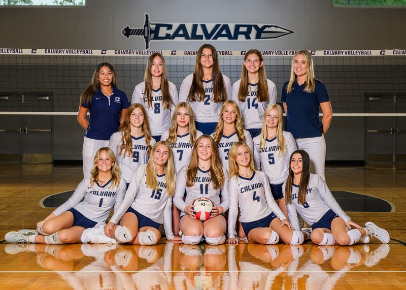 Volleyball24